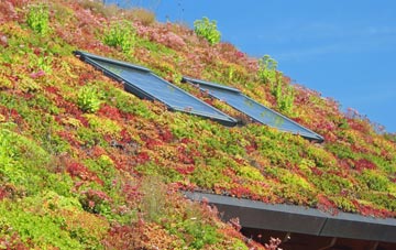 Bishops Norton living roof systems